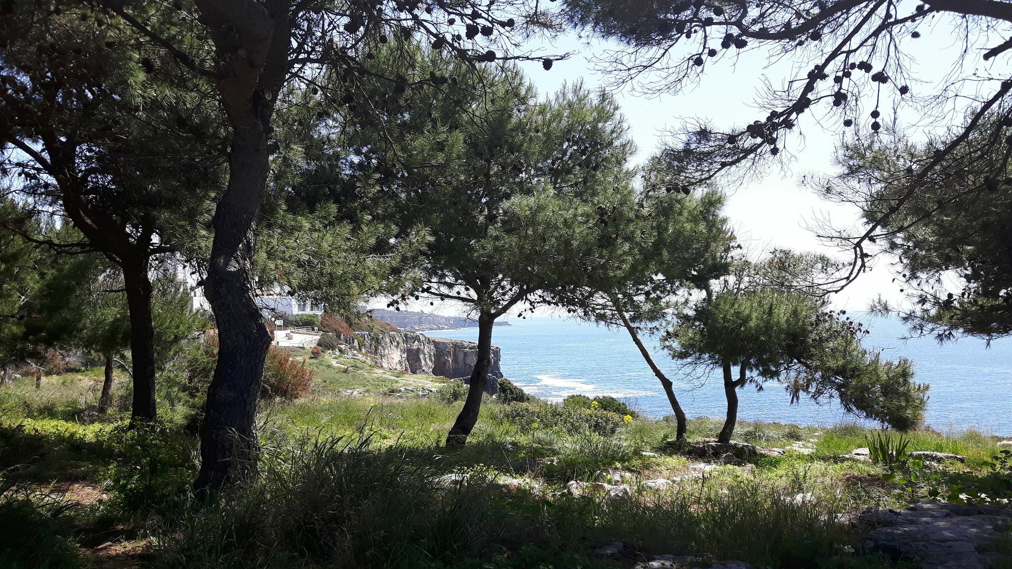 Charming Villa Golf & Beach Кашкайш Екстериор снимка